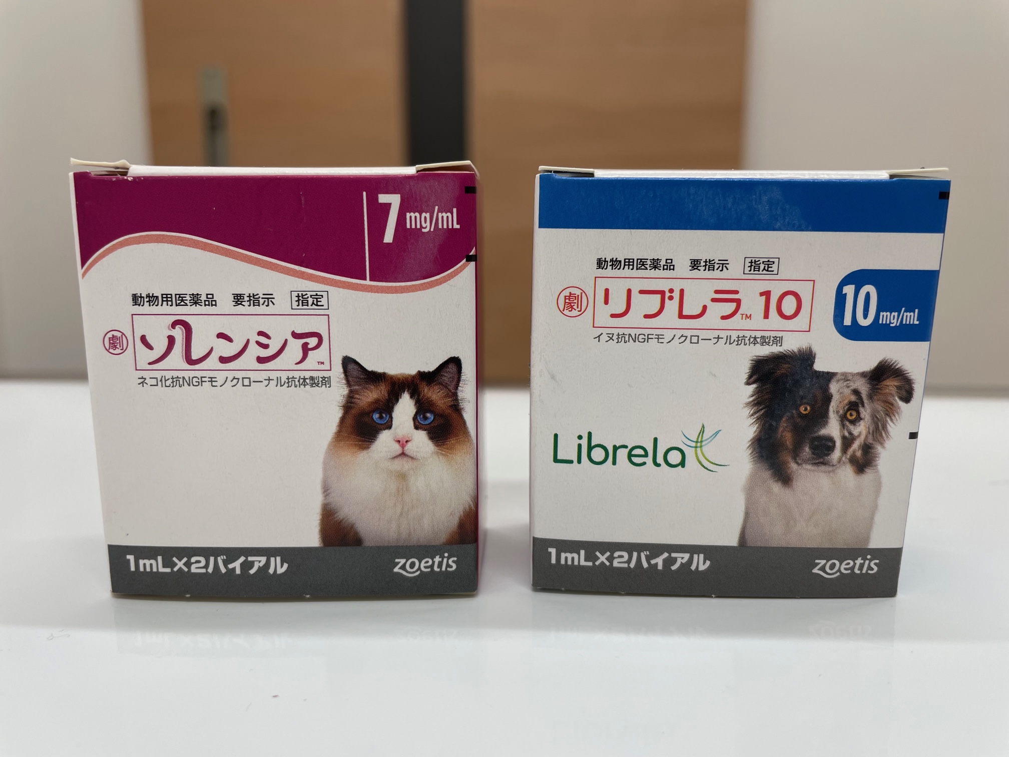 犬と猫の心疾患の薬物療法 Amazon.co.jp: 犬と猫の